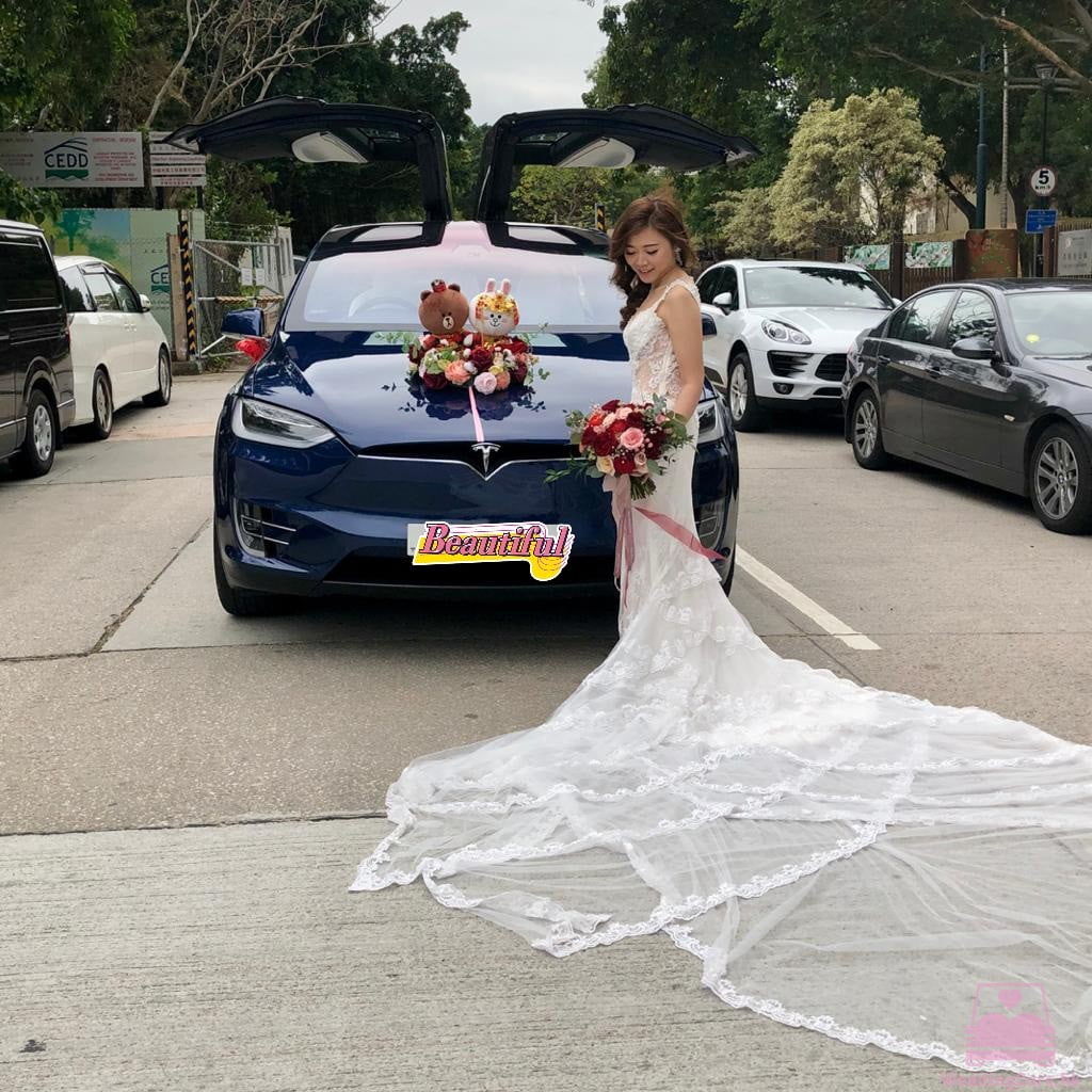 Tesla Model X 結婚花車 藍色 Wedding Car @ Lai Chi Kok Park 荔枝角公園
